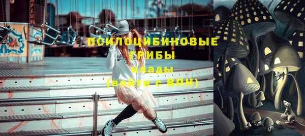 a pvp Белокуриха