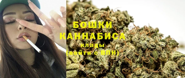 a pvp Белокуриха