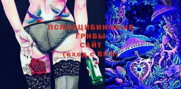 прущие крисы Белоозёрский