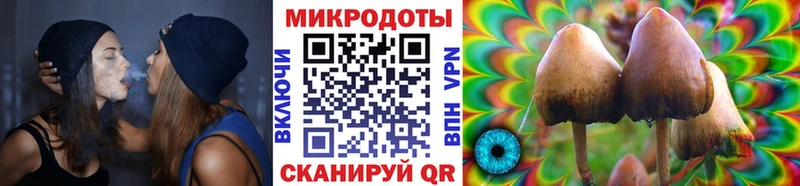 Галлюциногенные грибы мицелий купить наркоту Демидов