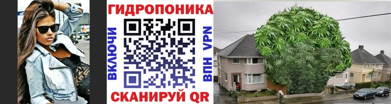Бошки Шишки планчик  Демидов 